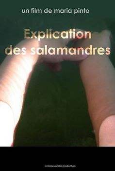 Affiche Explication des Salamandres