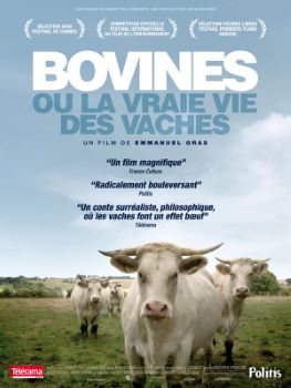 Affiche Bovines ou la vraie vie des vaches